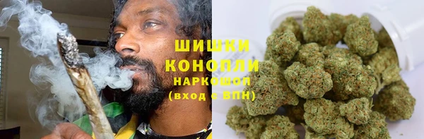 прущие грибы Магадан
