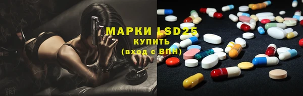 прущие грибы Магадан