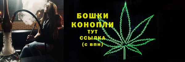не бодяженный Магас
