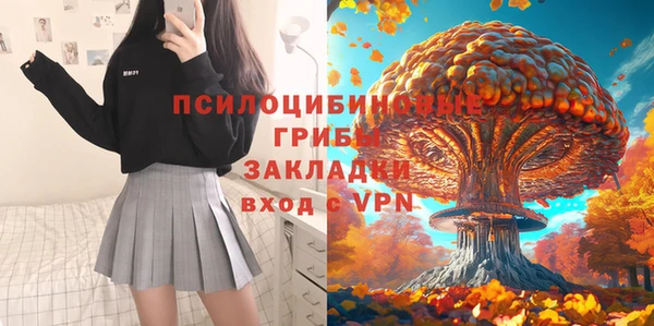 не бодяженный Магас