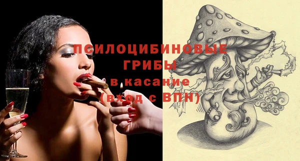 прущие грибы Магадан