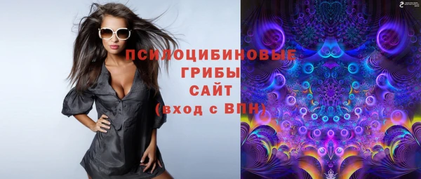 прущие грибы Магадан