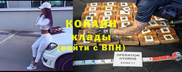 прущие грибы Магадан
