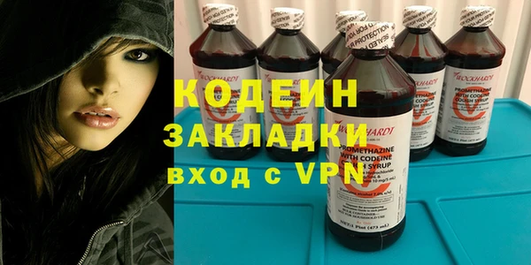 прущие грибы Магадан