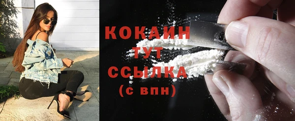 прущие грибы Магадан
