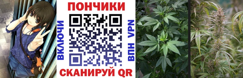 МАРИХУАНА Amnesia  наркошоп  Маркс 